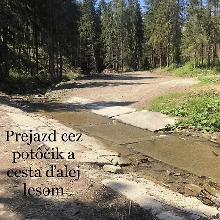 Na Samote V Lese *